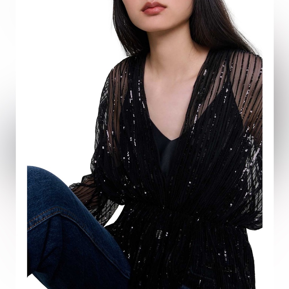 NWT Maje Levinou Sheer Top With Mini Sequins—missing camisole - Picture 4 of 13
